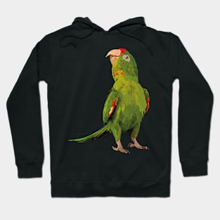 red-fronted parakeet Hoodie